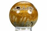 Colorful Polished Fossil Coral Sphere - Indonesia #311753-1